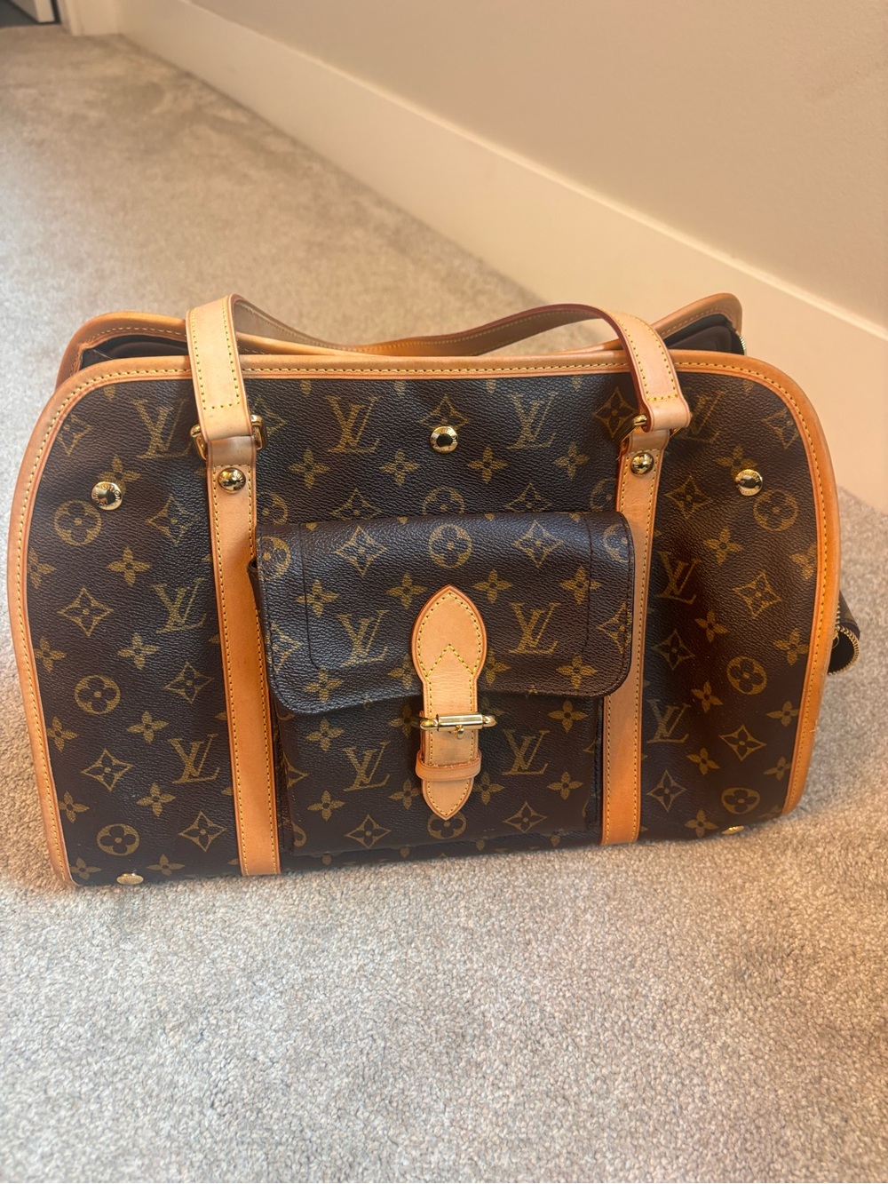 Louis Vuitton Monogram Dog bag